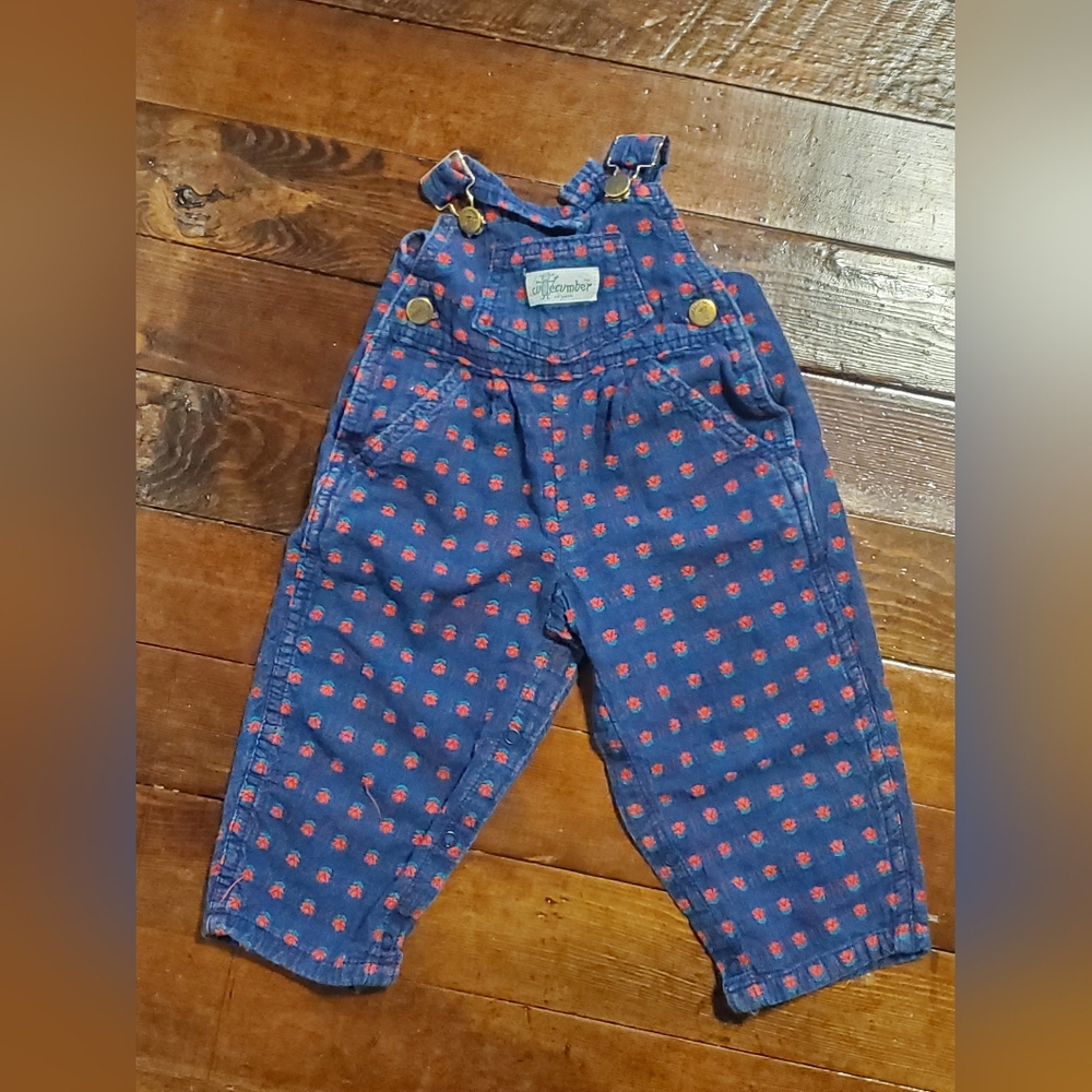 OshKosh B'gosh Blue Overalls with Red Pattern